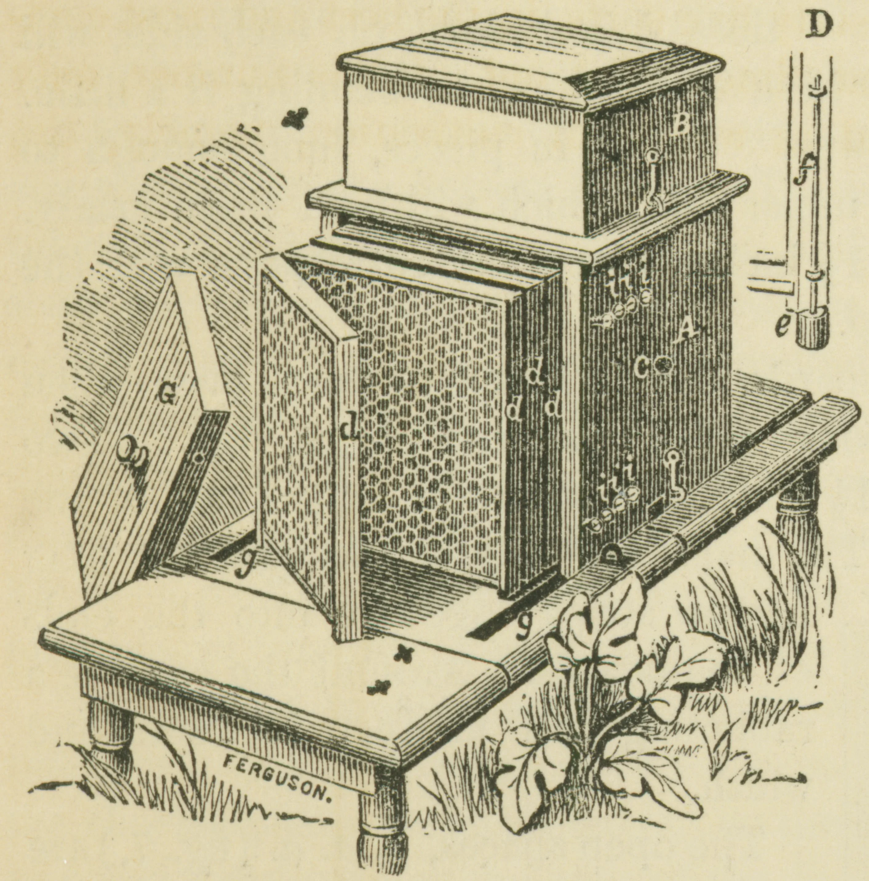 lithograph of bee hive