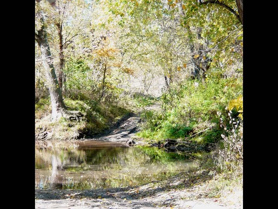 a dirt trail meets water, surrounded by trees and bushes